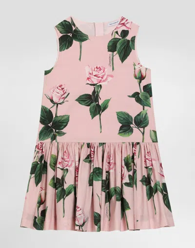 Dolce & Gabbana Rose-print Poplin Dress