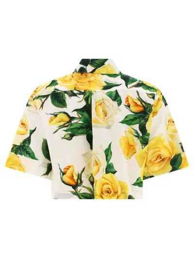 Dolce & Gabbana Rose-print Cotton Shirt In Yellow