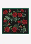 Dolce & Gabbana Rose-print Contrast-border Scarf In Multicolor