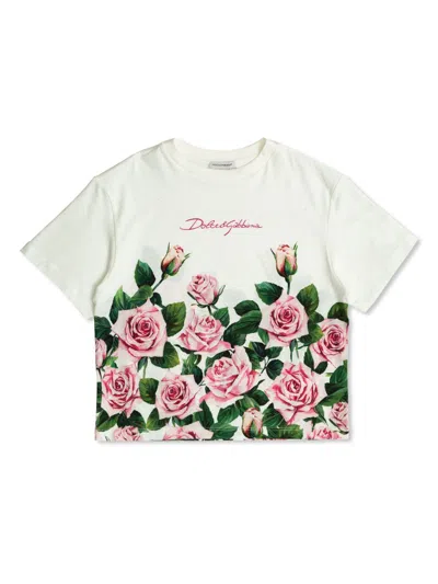 DOLCE & GABBANA ROSE-PRINT T-SHIRT