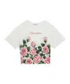 Dolce & Gabbana Rose-print T-shirt In White