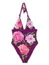 Dolce & Gabbana Rose-print V-neck Swimsuit In Purple