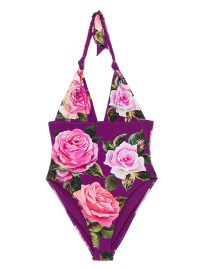 Dolce & Gabbana Rose-print V-neck Swimsuit In Purple