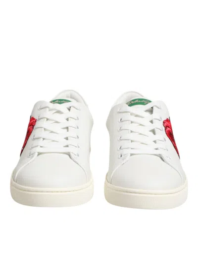 Dolce & Gabbana Rose-embroidered Calf Leather Sneaker In White