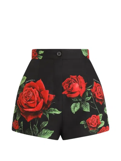 Dolce & Gabbana Rose-print Poplin Shorts In Black