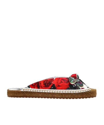 Dolce & Gabbana Round Head Slippers In Brown