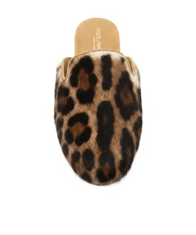Dolce & Gabbana Round-toe Mules In Animal Print