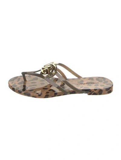 Pre-owned Dolce & Gabbana Rubber Animal Print Flip Flops In Neutrals
