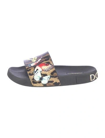Pre-owned Dolce & Gabbana Rubber Animal Print Slides In Multi