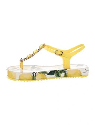 Pre-owned Dolce & Gabbana Rubber Floral Print Flip Flops In Yellow