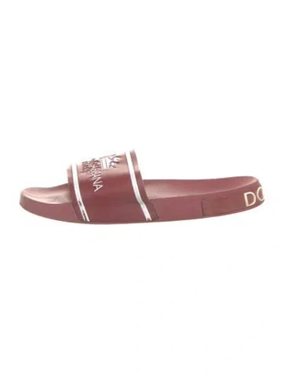 Pre-owned Dolce & Gabbana Rubber Graphic Print Slides In Pink
