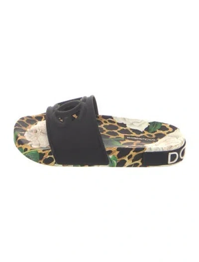 Pre-owned Dolce & Gabbana Rubber Printed Slides In Black
