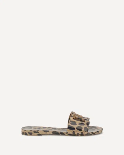 Dolce & Gabbana Rubber Sandals With Leopard Print In Animal Print