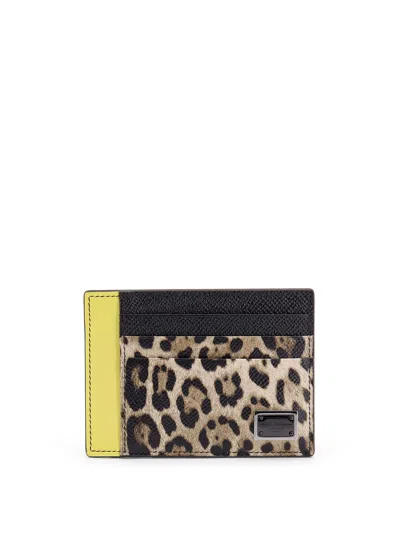 Dolce & Gabbana Saffiano Leather Card Holder With Animalier Insert In Black