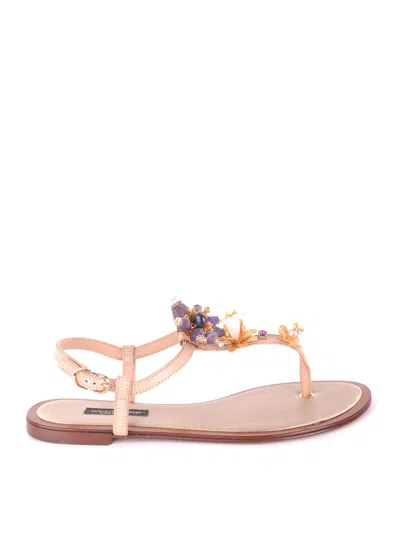 Dolce & Gabbana Sandalias - Multicolor