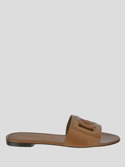 Dolce & Gabbana Leather Sliders With Logo Dg In Brown