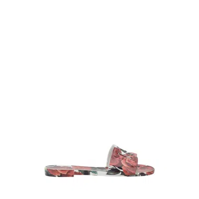 Dolce & Gabbana Sandals With Flowers In Multi