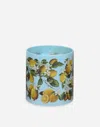 Dolce & Gabbana Scented Candle - Lemon In Multicolor