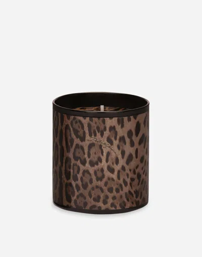 Dolce & Gabbana Scented Candle - Patchouli In Multicolor