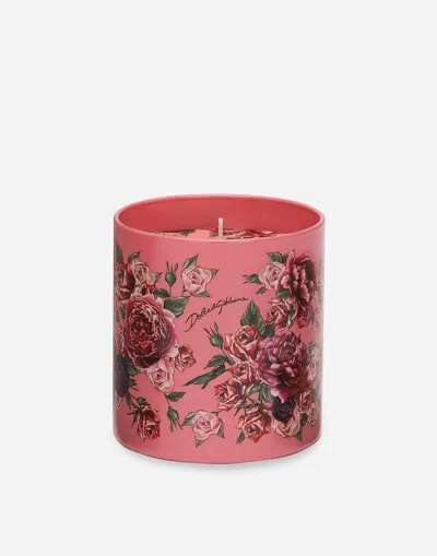 Dolce & Gabbana Scented Candle - Rosa Moschata In Multicolor