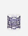 DOLCE & GABBANA SCENTED CANDLE - SICILIAN NEROLI AND LEMON