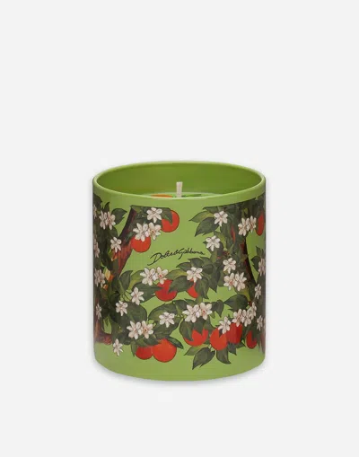 Dolce & Gabbana Scented Candle - Sicilian Orange In Multicolor