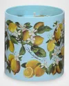 Dolce & Gabbana Scented Candle, 8.8 Oz. In Blue