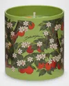 Dolce & Gabbana Scented Candle, 8.8 Oz. In Green