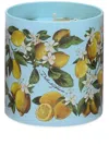 Dolce & Gabbana Scented Candle In Blue