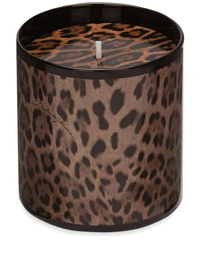 Dolce & Gabbana Scented Candle In Brown
