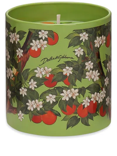 Dolce & Gabbana Scented Candle In Green