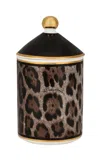 Dolce & Gabbana Porcelain Patchouli Scented Candle In Black