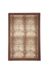 Dolce & Gabbana Leopard Print Signature Border Scarf In Brown