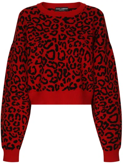 Dolce & Gabbana Semi-sheer Leopard-print Jumper In Red