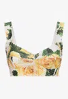 Dolce & Gabbana All-over Print Top Bustier In Multicolor