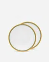 Dolce & Gabbana Set 2 Porcelain Soup Plates In Multicolor