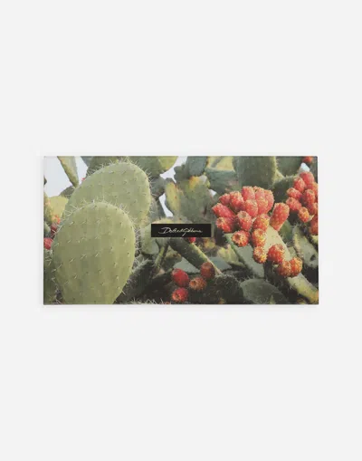Dolce & Gabbana Set 5 Greeting Cards With Matching Envelopes In Multicolor