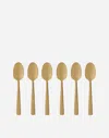 Dolce & Gabbana Set 6 Inox Coffee Spoons In Multicolor