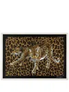 Dolce & Gabbana Set Of 36 Leopard Placemats In Brown