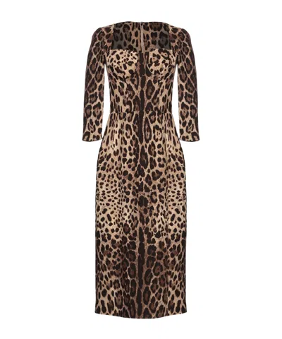 Dolce & Gabbana Sheath Dresses In Khaki
