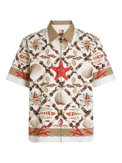 DOLCE & GABBANA SHELL-PRINT HAWAII SHIRT