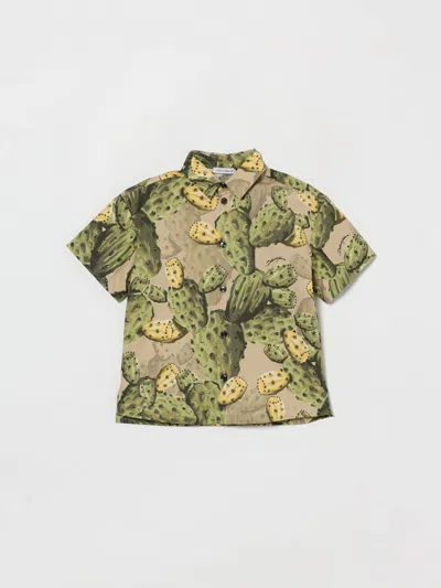 Dolce & Gabbana Shirt  Kids Color Yellow Cream In Multi