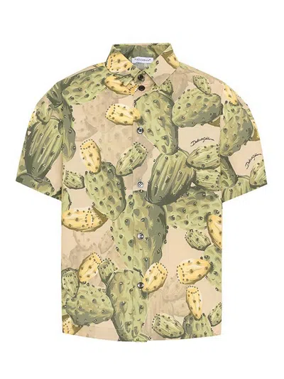 Dolce & Gabbana Kids' Shirt In Green