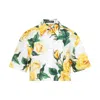 DOLCE & GABBANA DOLCE & GABBANA SHIRT