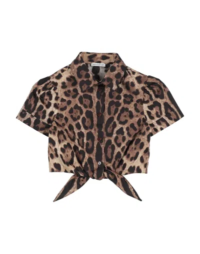 Dolce & Gabbana Kids' Shirts In Camel
