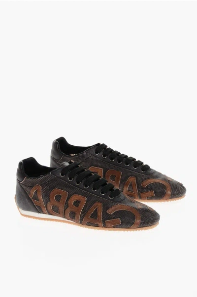 Dolce & Gabbana Shoes