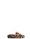 Dolce & Gabbana Leopard Print Flat Slides In Brown