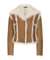 Dolce & Gabbana Short Shearling Jacket In Beige