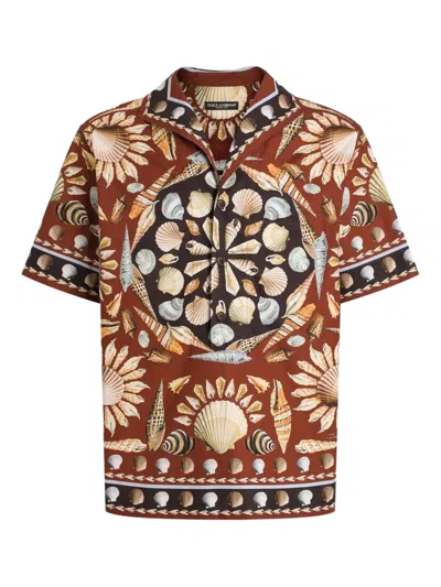 Dolce & Gabbana Short Sleeve Shirt In Brown