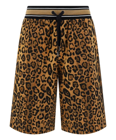 Dolce & Gabbana Shorts In Brown